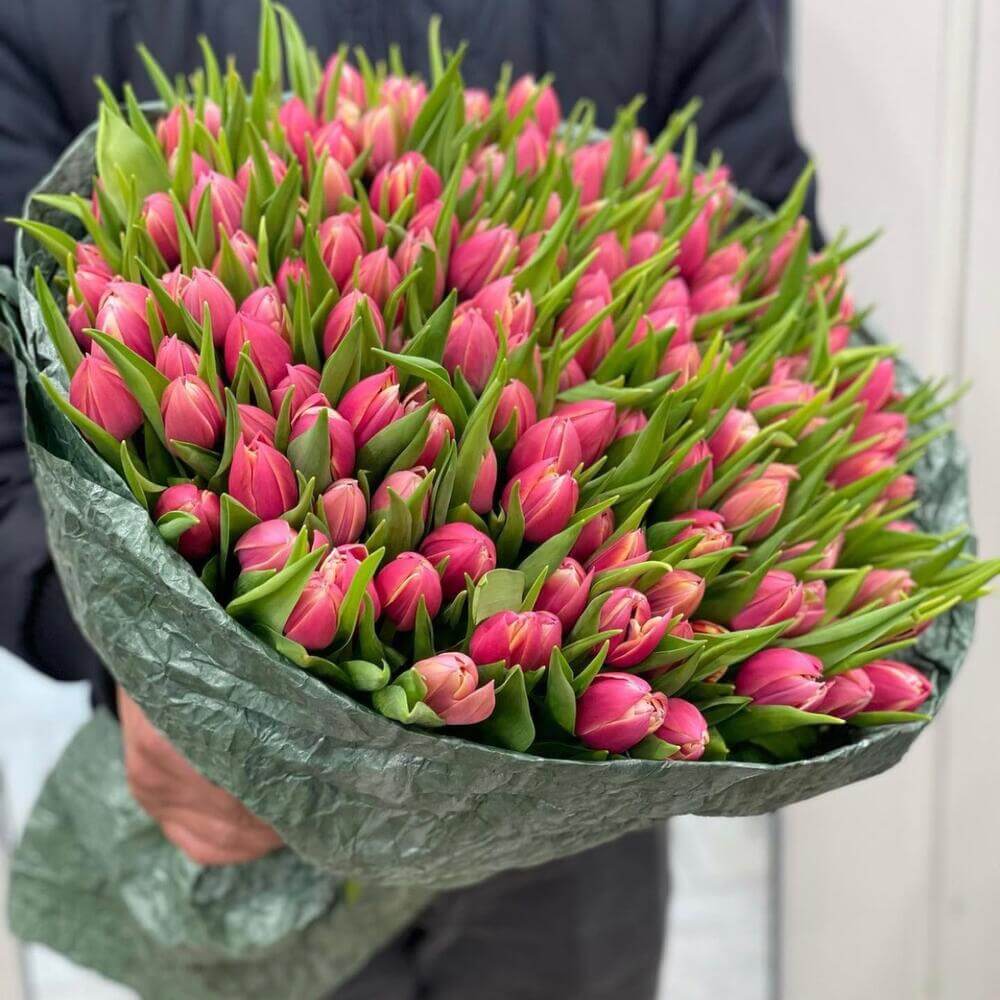 Beauty of Spring - The Floral Buds